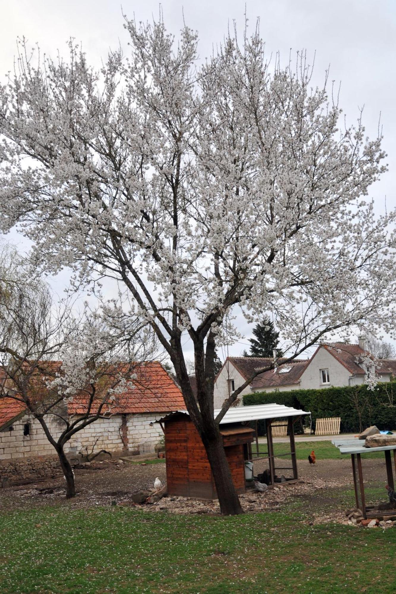 La Ferme De Flo' Villa Evry  Buitenkant foto