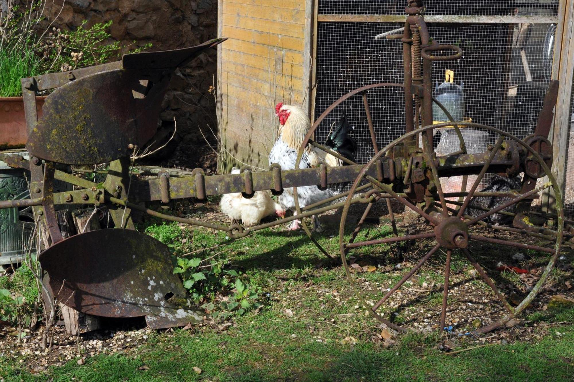 La Ferme De Flo' Villa Evry  Buitenkant foto